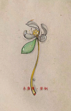YH美学采集到玉石