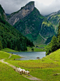 瑞士的湖光山色，每个人心里都有一个童话之乡