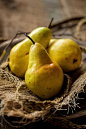 Bartlett pears in rustic bowl and setting Download this high-resolution stock photo by JEFF WASSERMAN from Stocksy United.