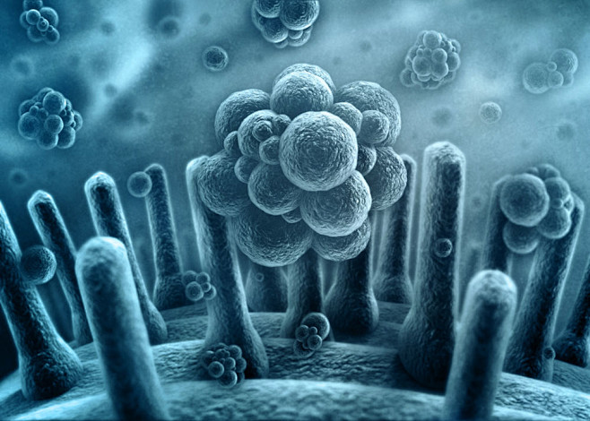 球形细胞和病毒 图片素材(编号:2013...