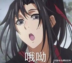 帝鹅将相采集到魔道祖师表情包系列