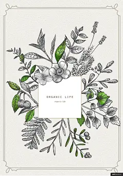 手绘 手绘插画 植物 原料 花草 自制 手绘背景传统绘画插画绘画