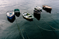 Beautiful Free Photos for Everyone | Barnimages : Beautiful high-resolution photography for everyone. Free for personal and commercial use. No attribution needed.