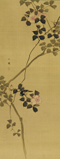 Wild rose and a bird" by MORI Ippo (1798~1871), Japan