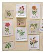 青木和子的唯美刺绣：玫瑰花园：精彩插图（3） 在线阅读-时尚休闲 -京东读书