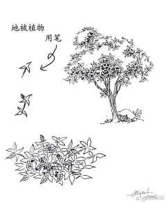 lemon190056采集到手绘素材