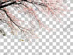 透明底梅花 【酷图网】透明底梅花,梅花,素材,梅花图案,桃花,梅花背景,中国风,中国风素材,梅,寒梅,山水画,水墨画,水墨画素材,山水画素材,腊梅,腊梅背景,花,花素材,中国花,梅花剪影,梅花剪纸,梅兰竹菊,梅兰竹菊素材,梅花字画,水墨素材,灯笼,花瓣,透明底,免抠图,TIF,PNG,PSD,分层图