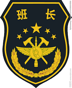 皮卡秋qiu采集到培森