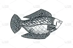 鱼肉,野生动物,食品,模板,动物,河流,乱画,绘制,着色