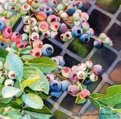 水彩---蔬果 - 高清图片，堆糖，美图壁纸兴趣社区