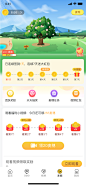 开花 成长的过程