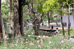 问问will采集到景观