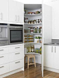 Corner Pantry- like this idea for a kitchen remodel. Corner cupboard floor to ceiling instead of the wasted counter space in the middle we have now.