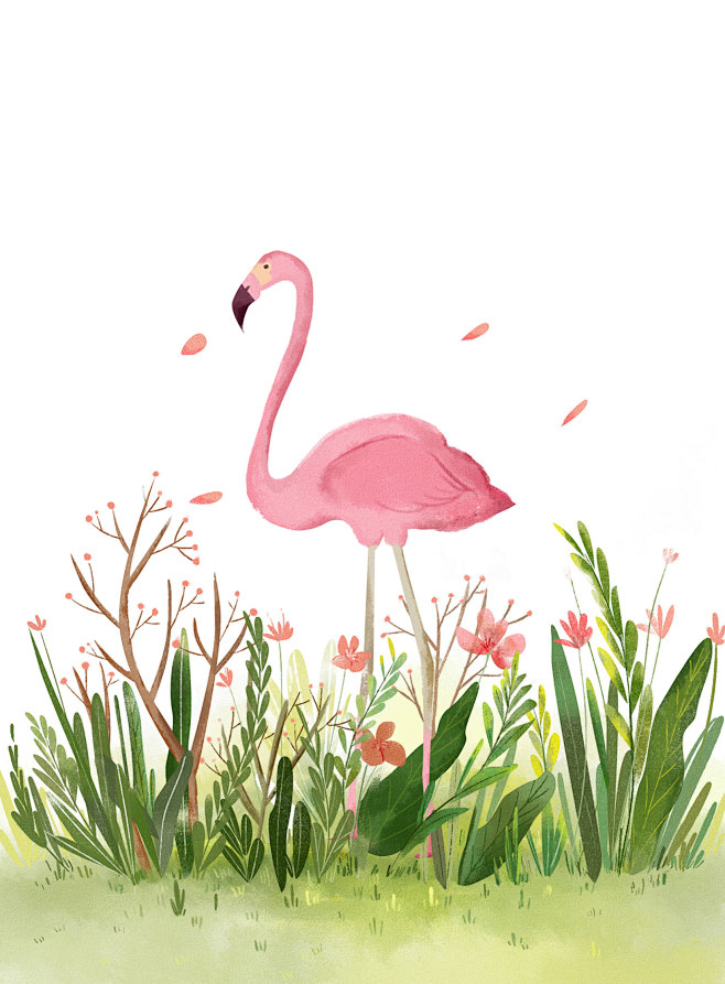 淡忘2018从seasonlu转采于2019-01-14 16:15:35火烈鸟插画淡忘2018同