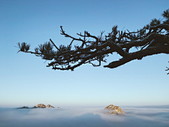 镜陌采集到风景