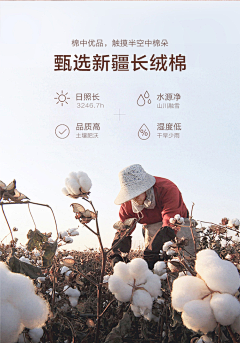 XFFFFFFFF采集到图标