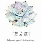 难度：☆☆☆