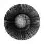 Pinned Image