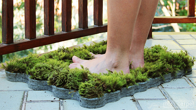 MOSS CARPET : The mo...