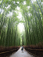 morning walk kyoto | Scenes from Kyoto | SERENITY IN THE GARDEN | Pi…