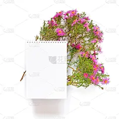秋天的插花。白色背景上放着一束花，是一束八角花(多年生紫菀)和一个打开的空白笔记本。平的。前视图。副