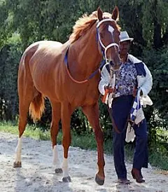 Secretariat, Big Red, Triple Crown Winner!