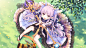 103631.webp (1408×792)