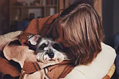 点击来源直接获取大图文件 |漂亮年轻的主人与她可爱的狗相拥