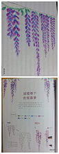 第三期 花草的小清新。紫藤花，梦幻的花架。