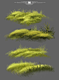 ArtStation - Foliage Brushes for Landscapes, Grass and Leaves of the MA-Brushes, MA Brushes