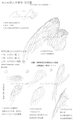 そよかぜうさぎ采集到翅膀