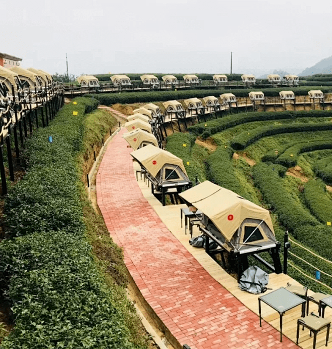 嘿，朋友，新一年的旅行就从这家4A级旅游...