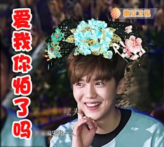 表情包代表我的心。芦苇专用，需者自取。PS: 不要怪我，你哥自己丢掉的偶像包袱，我只是帮他踹的更远点