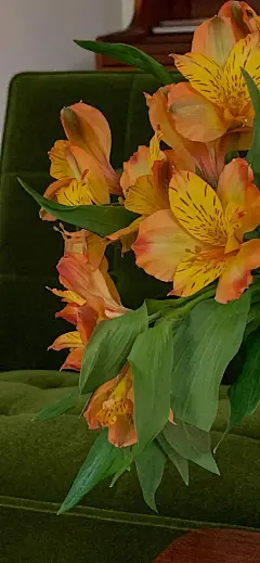 (2 条消息) 有哪些让人一眼就喜欢的全面屏壁纸？ - 知乎 : 对了对了，要全面屏的，最好是那种xs max的