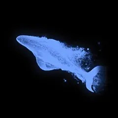Huawei Mate XT Ultimate Wallpaper 17 YTECHB