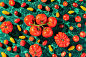 Various tomatoes on a green vibrant cloth background