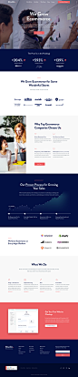 Grow with Studio Landing Page Example: We Grow Ecommerce