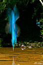  

花瓣网：翠鸟入水的那惊鸿一瞥，犹如一道蓝色火焰。来自花粉@fairyfaye 的画板“视觉”>>http://t.cn/zW7QhWy



