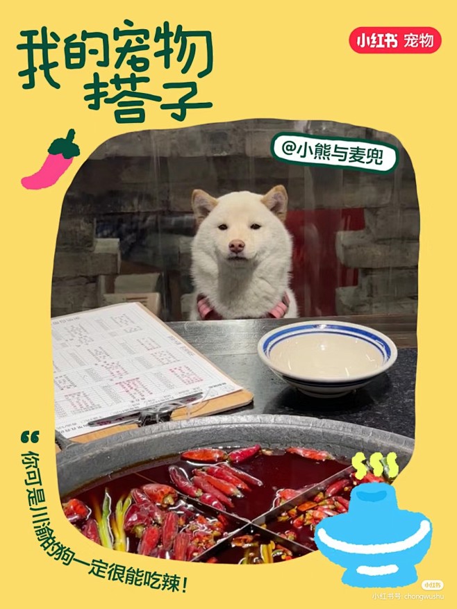 来自分享