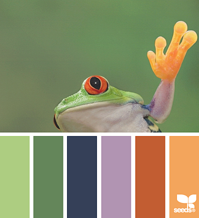 ColorLeap