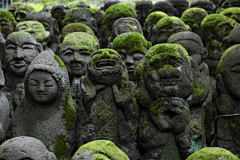 咕咕是支向日葵!采集到日本、南韩