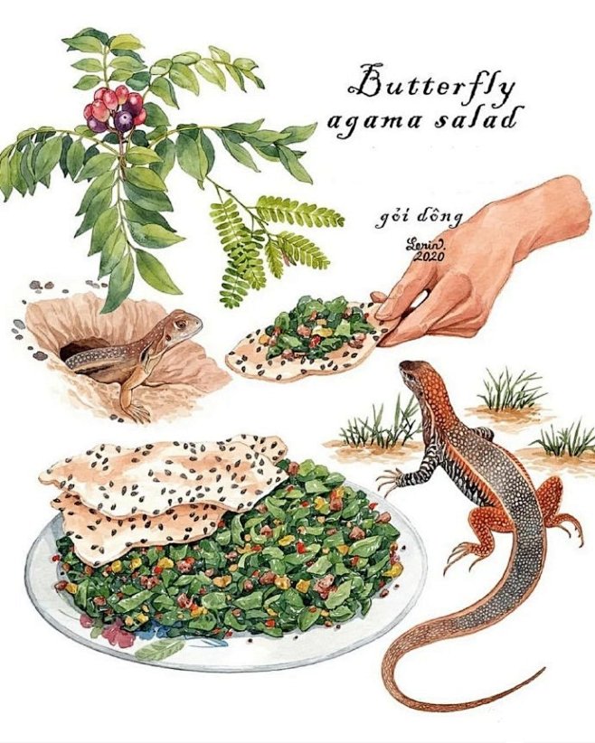 一组水彩美食手绘作品
越南插画师：Le ...