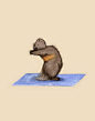 Lesley DeSantis的插画作品：练瑜伽的小仓鼠