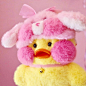 #原图精选# 
最近超火的玻尿酸鸭子头像？？
ins：cafe_mimi ​​​​