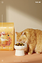 宠物用品｜富善猫粮 X 当下视觉摄影产品摄影当下视觉摄影 - 原创作品 -  