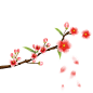 桃花元素 105