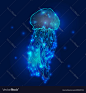 Transparent glowing neon blue and turquoise medusa vector image on VectorStock : Transparent glowing neon blue and turquoise medusa blubber jellyfish set decorative background poster vector illustration. Download a Free Preview or High Quality Adobe Illus