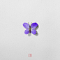 Seven Butterflies-花草昆虫-大自然的保护者---酷图编号1273466