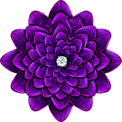 何乐不为818采集到S 素材-PNG