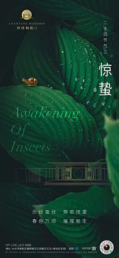 邂逅如果采集到节气